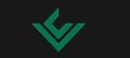 Vyce Corp
