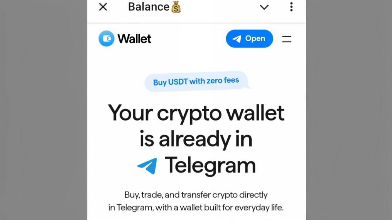 Balance Wallet