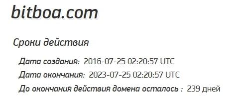 Bitboa: отзывы клиентов о работе компании