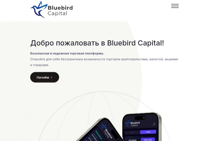 Bluebird Capital