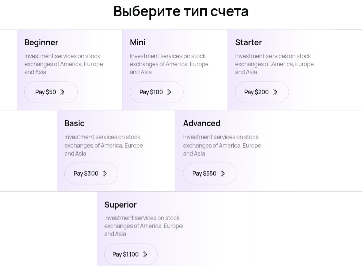 Equity Securities Market Brokers LTD