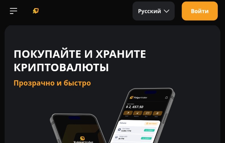 Fulgur Wallet