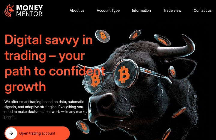 Money Mentor