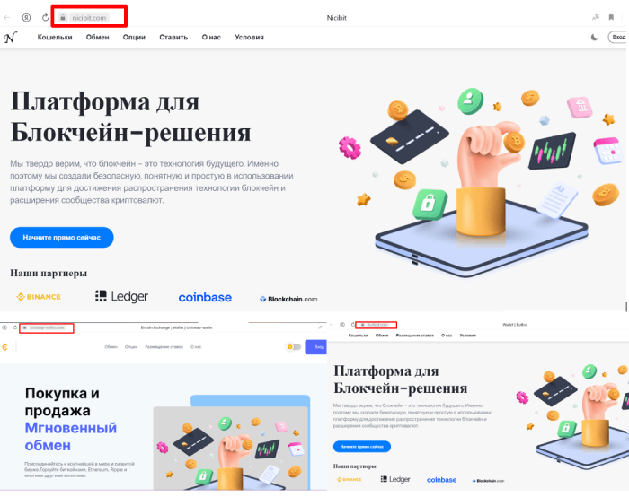 Nicibit (nicibit.com) шаблонный криптообменник жуликов!