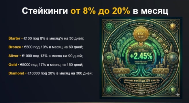 Turbo Global