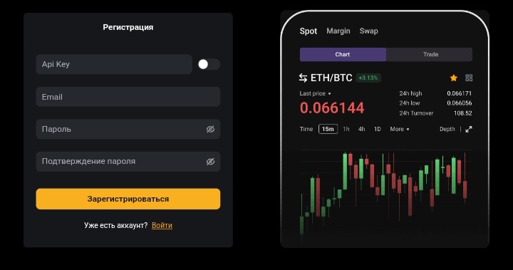 Web Api Pro