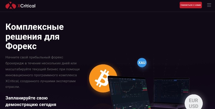 XCritical — что это за платформа и стоит ли ей доверять