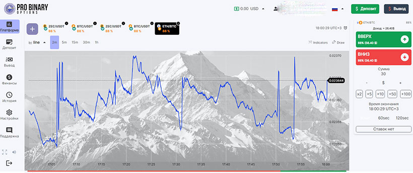 Pro Binary Options