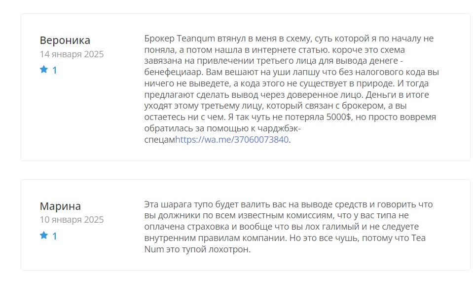 Инвестиционные возможности мошенников Teanqum или как потерять все деньги в одном месте