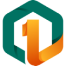 One and Only Capital