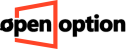 OpenOption