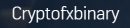 Cryptofxbinary