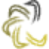 Five Rings Capital LLP logo