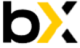 Компания Bincryptex logo