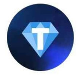 Time TON Ecosystem logo