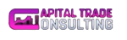 Logo Capital Trade Consulting