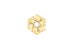 Logo NBXY-scp