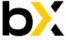 Logo Bincryptex