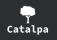 Logo Catalpa