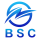 Logo BSC