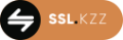 Logo SSL-kzz
