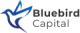 Bluebird Capital Logo