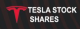 Tesla Stocks Logo