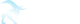 BSC Broker Logo