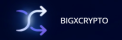Logo Bigxcrypto Exchange